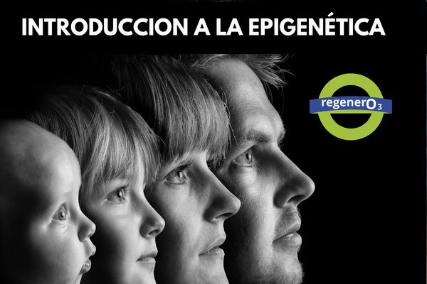 Epigenética: La Nueva Ciencia que explica el envejecimiento, la fertilidad y el rendimiento humano
