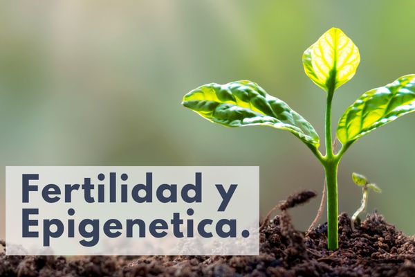 Fertilidad funcional: cómo la sueroterapia y el equilibrio epigenético preparan el cuerpo para un embarazo saludable