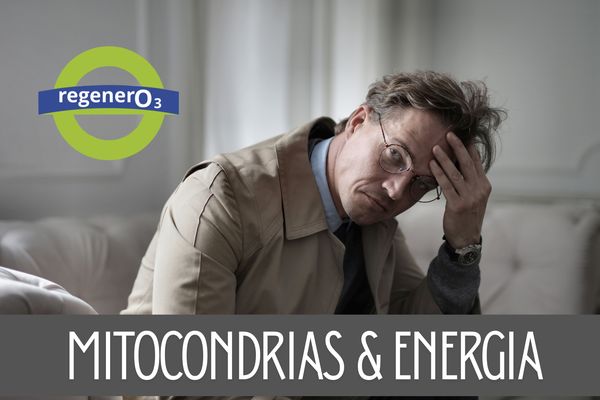 Mitocondrias y energía: la raíz invisible de la fatiga y las enfermedades crónicas