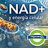 NAD+ y energía celular: por qué esta molécula se ha convertido en uno de los focos de la medicina de longevidad