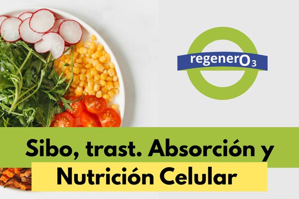 Sueroterapia personalizada: el aliado moderno contra el SIBO y trastornos digestivos