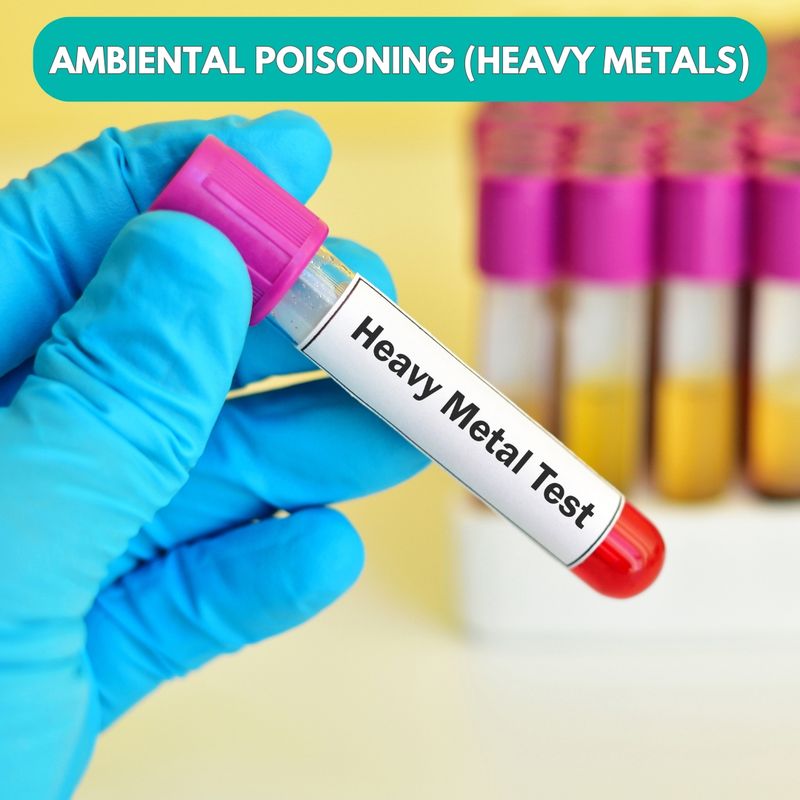 AMBIENTAL POISONING HEAVY METALS
